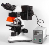 Люминесцентный бинокулярный микроскоп MC 300 (FS)